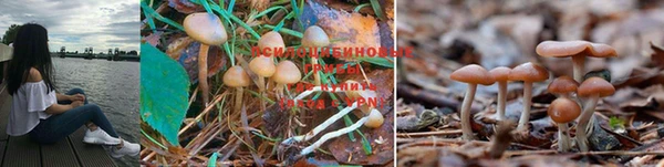 гашиш Бронницы