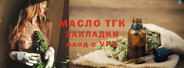 МДПВ Бородино