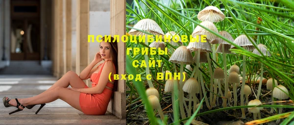 МДПВ Бородино