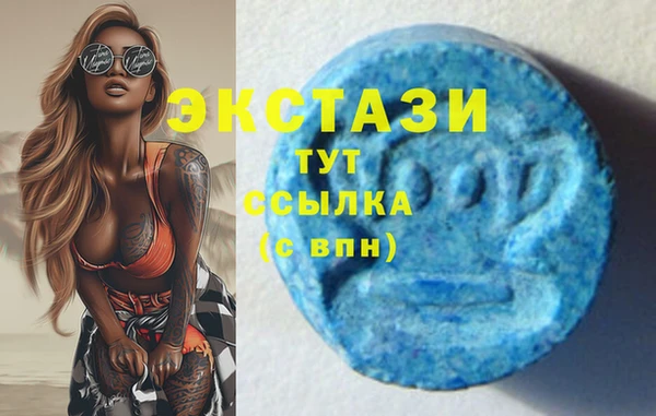 МДПВ Бородино