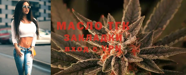 МДПВ Бородино