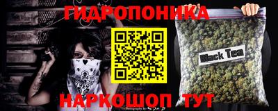 прущие грибы Беслан