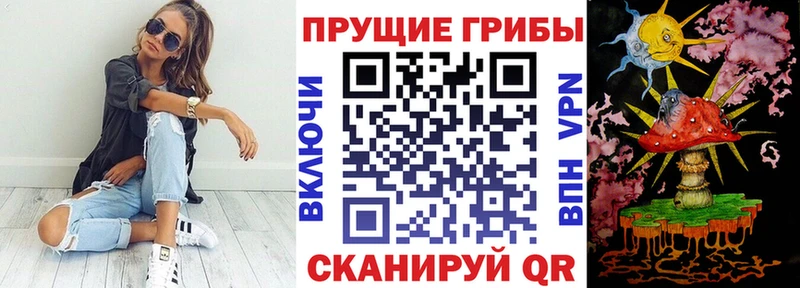 Галлюциногенные грибы Magic Shrooms цена Верхняя Салда