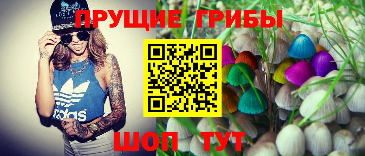 Галлюциногенные грибы мухоморы Верхняя Салда