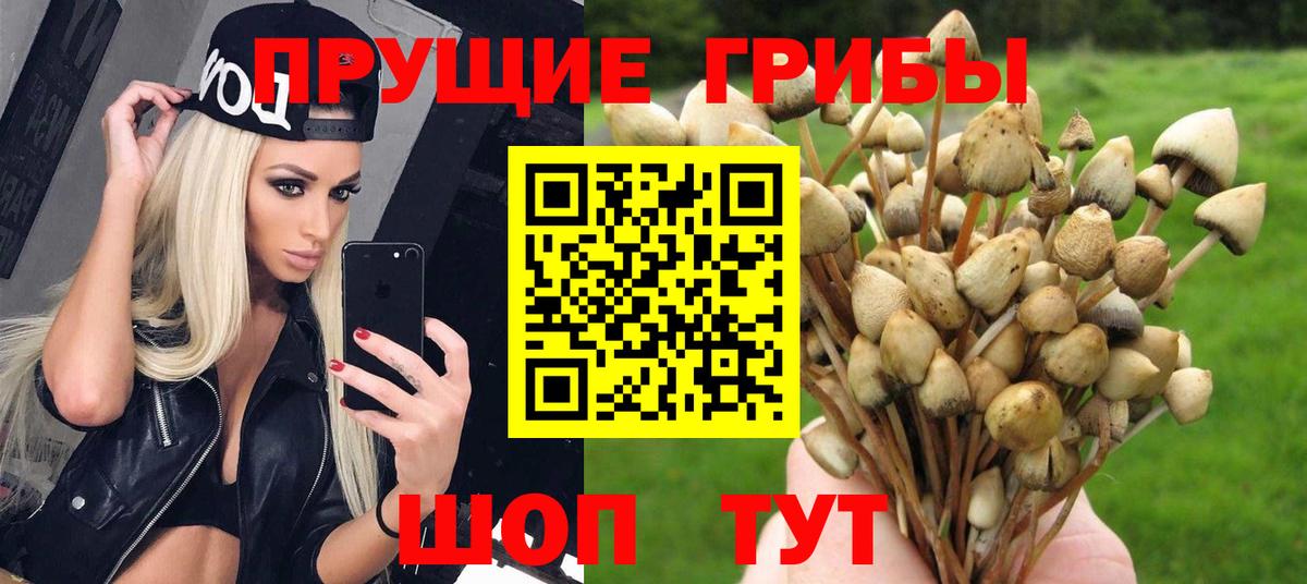 Псилоцибиновые грибы GOLDEN TEACHER Верхняя Салда